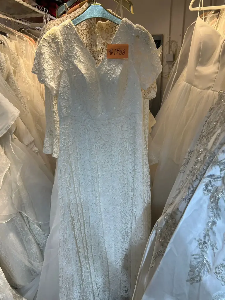 雪絨蕾絲V領婚紗